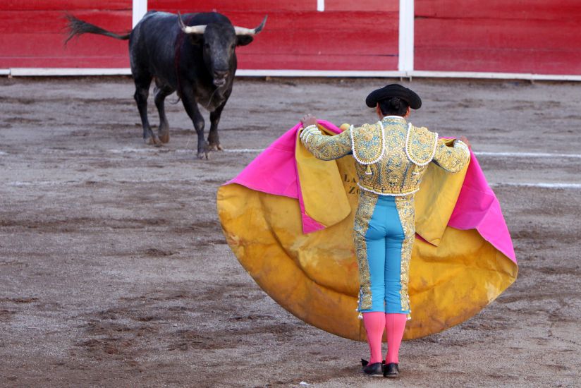 Bull Fighter