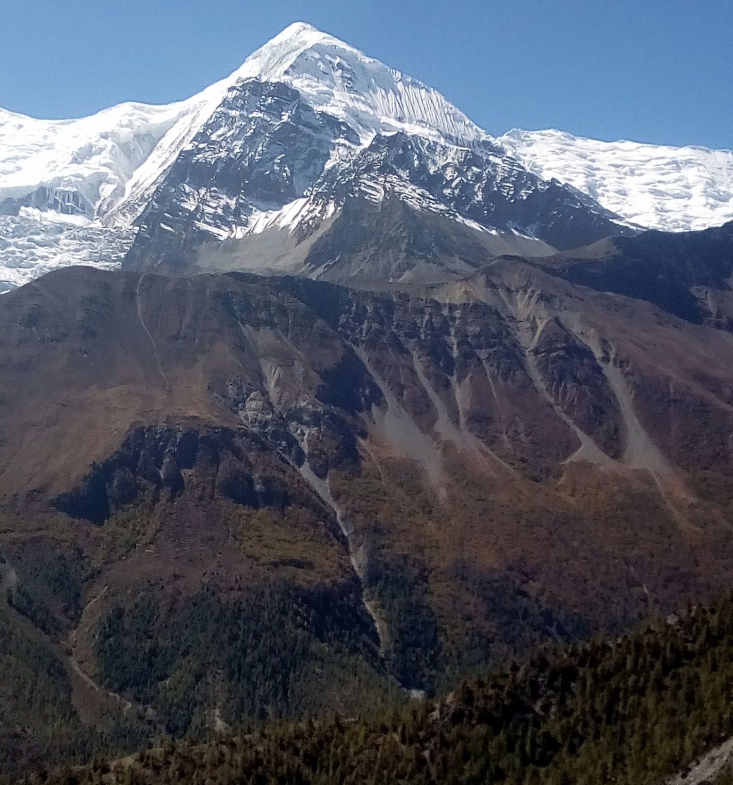 Mt.Gangapurnaon ascent from Manang to Tharong La