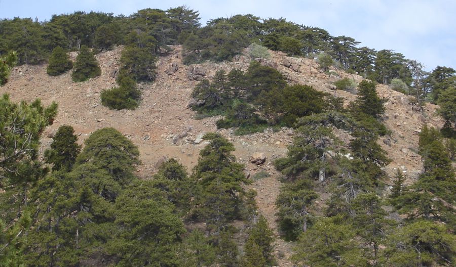 Summit slopes of Mount Olympus