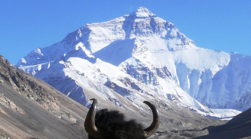 Everest ( Qumolangma ) North Face from Rongbuk Glacier in Tibet