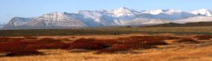 Skaftafell_National_Park.jpg