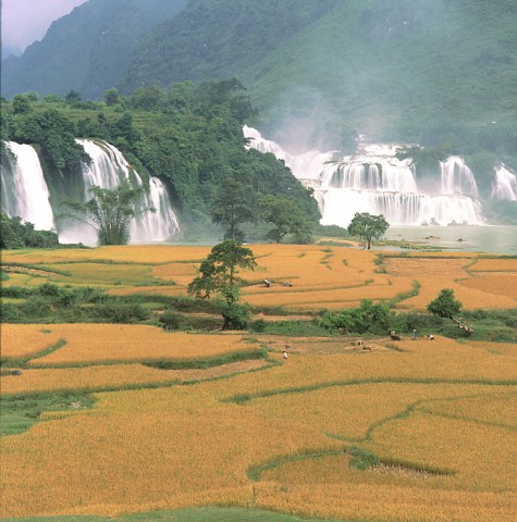 Ban Gioc Waterfall in Vietnam