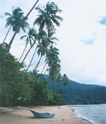 Tioman_4.jpg