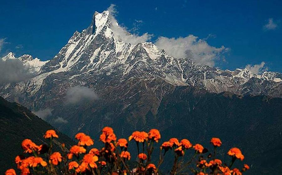 Macchapucchre ( Fishtail Mountain ) from Modi Khola Valley