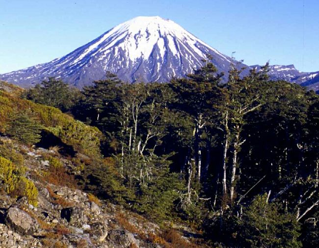 Mt. Ngauruhoe in Tongariro National Park