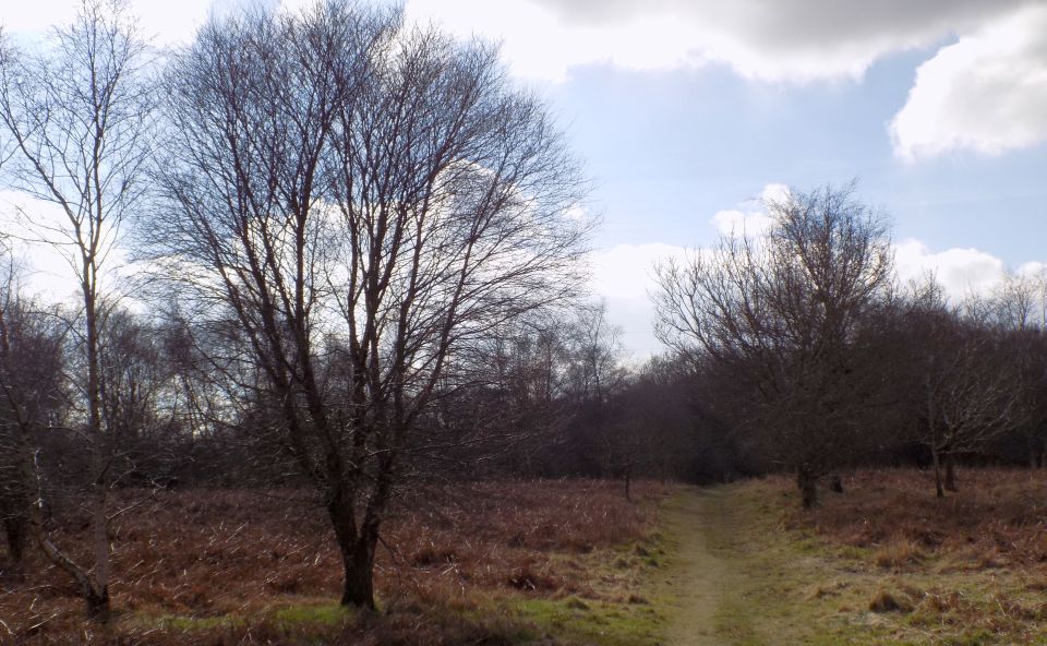 Calderwood Country Park