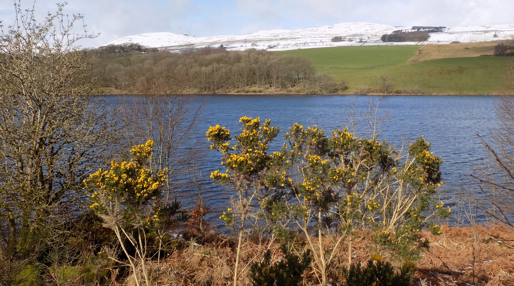 Kilsyth Hills across Banton Loch