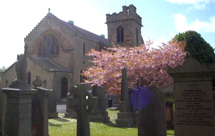 Cherry Blossom in New Kilpatrick Church in Bearsden