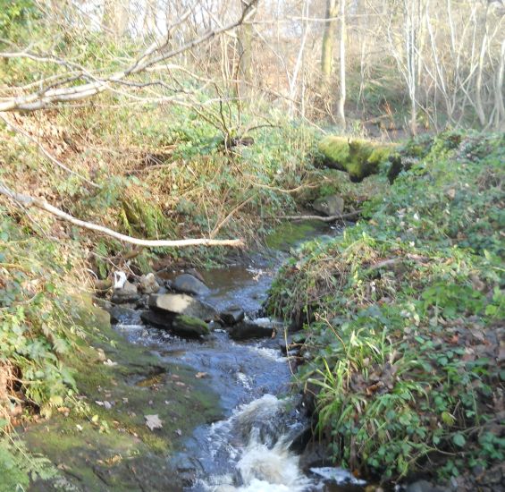 Burn ( stream ) flowing down from Pappert Well