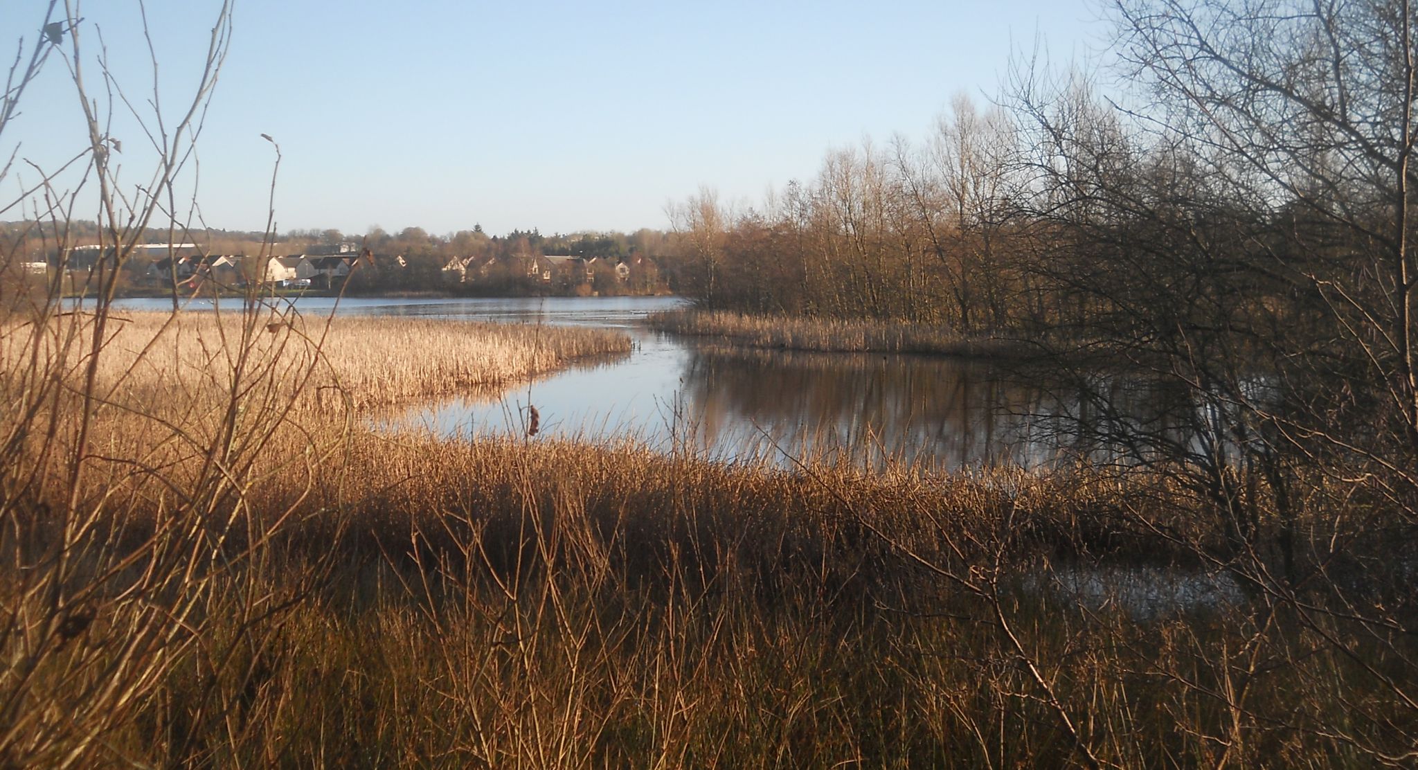 Broadwood Loch at Cumbernauld