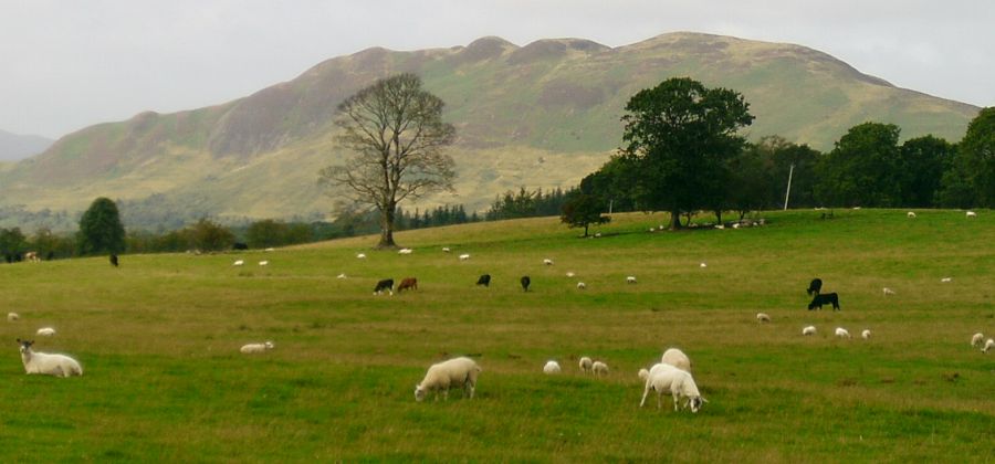 Conic Hill on the West Highland Way from the outskirts of Buchanan Smithy