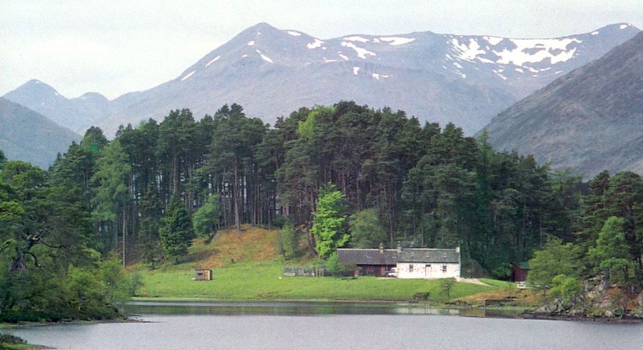 Mam Sodhail in Glen Affric