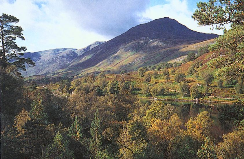 Sgurr na Lapaich in Glen Affric