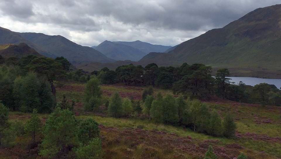 Glen Affric