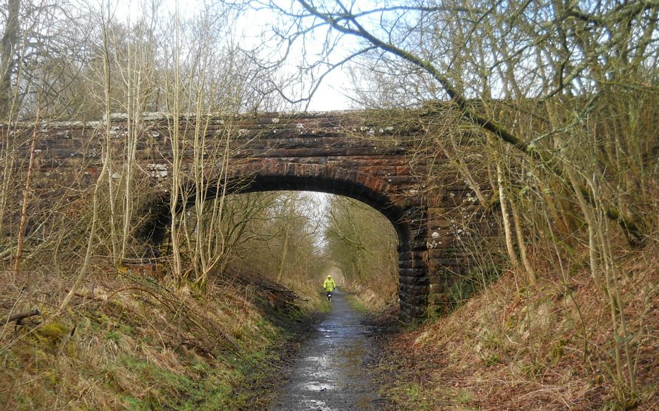 Bridge over walkway