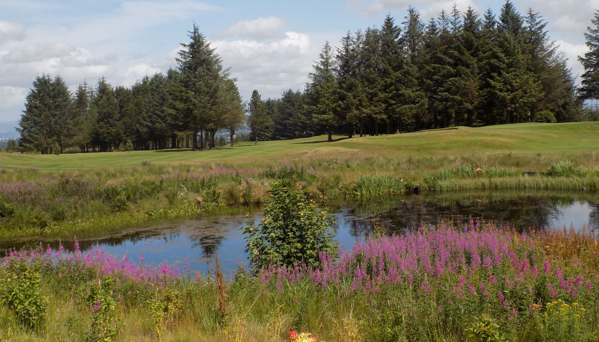 Bonnyton Golf Course