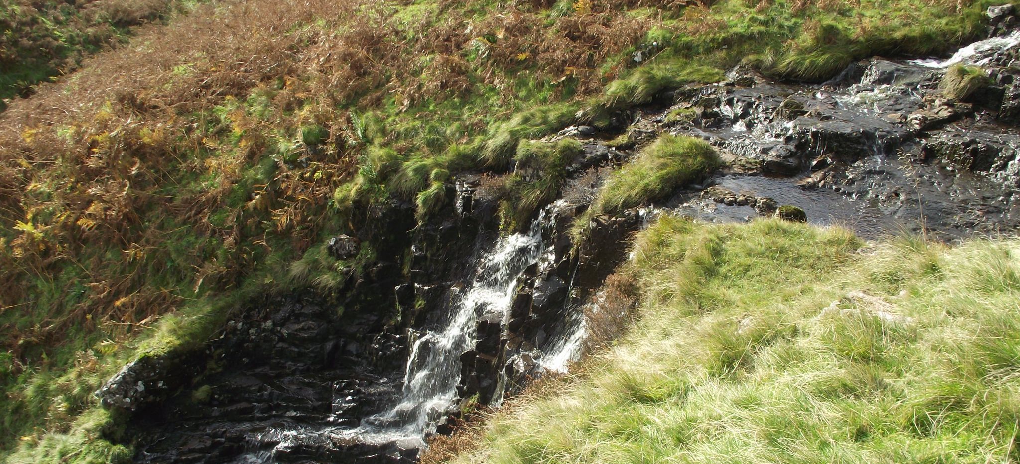 Waterfalls in side-stream in Gonachan Glen