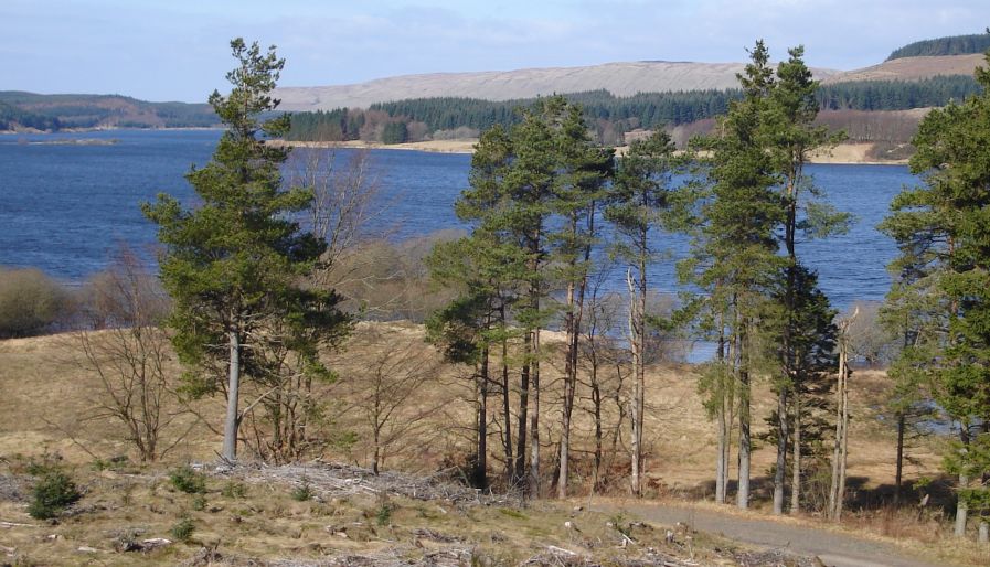 Carron Valley Reservoir