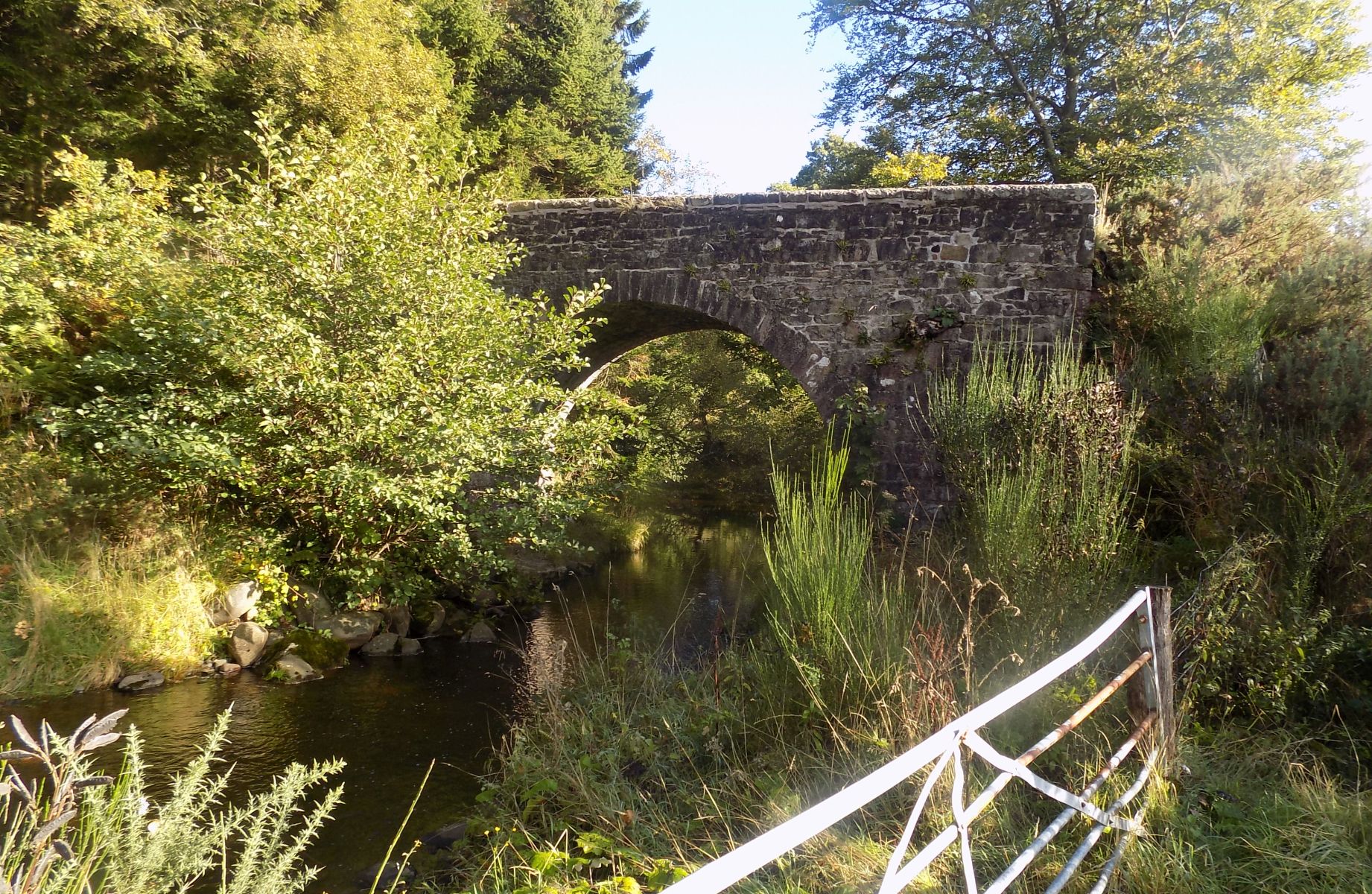 Dasher Bridge over Boquhan Burn