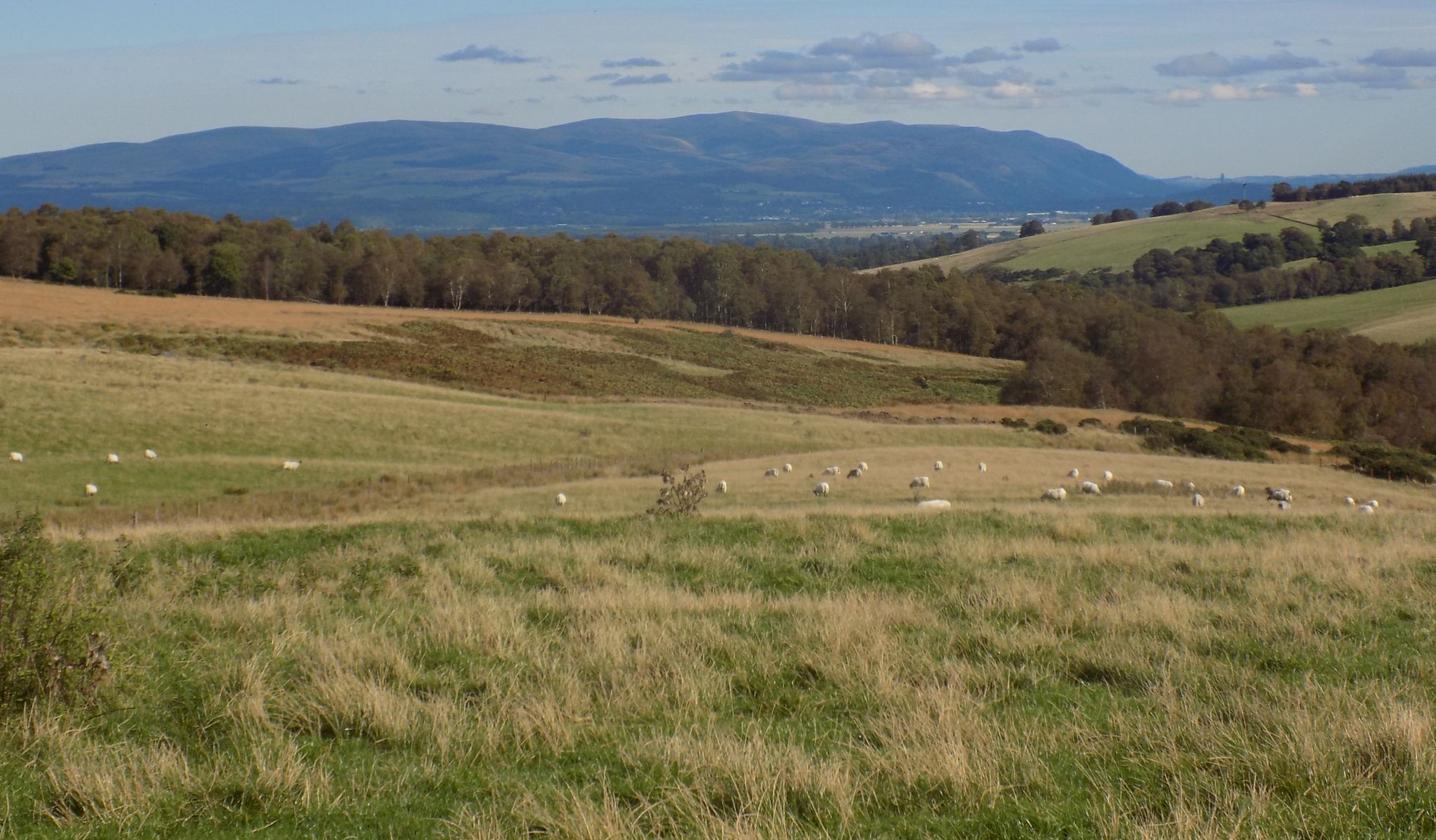 Ochill Hills on route to Boquhan Burn