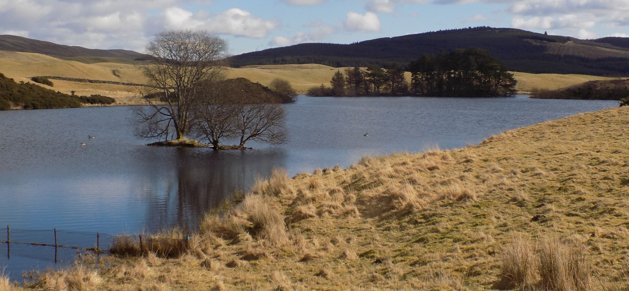 Ochill Hills and Carleatheran in the Gargunnock Hills from Stronend