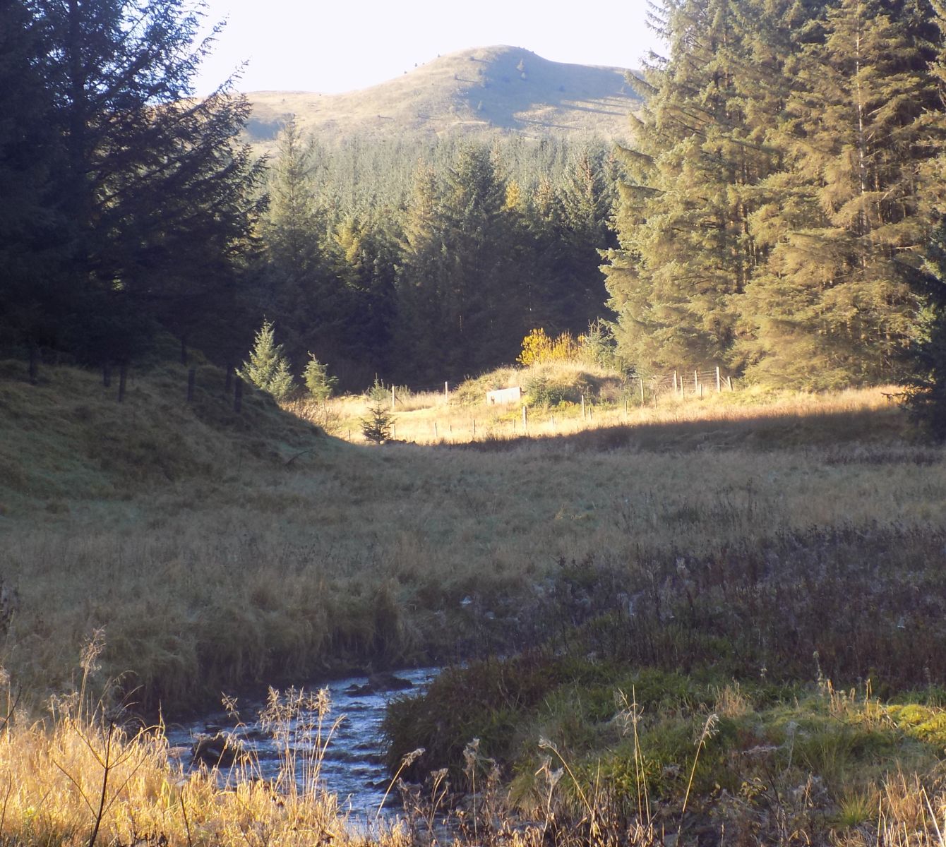 Meikle Bin from Bin Burn