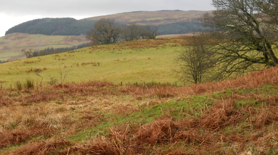 Kilpatrick Hills from Mugdock Country Park