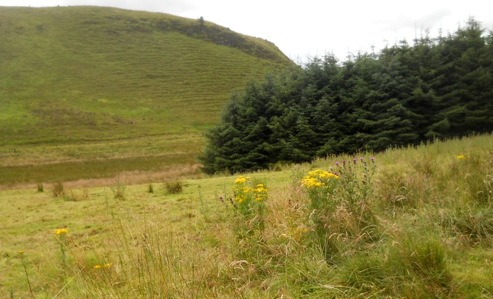 Neilston Pad