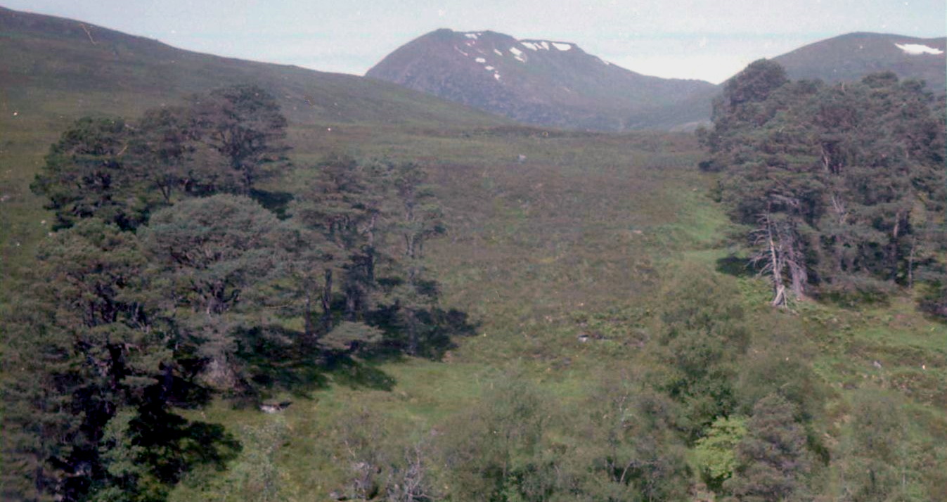 Toll Creagach above Glen Afric