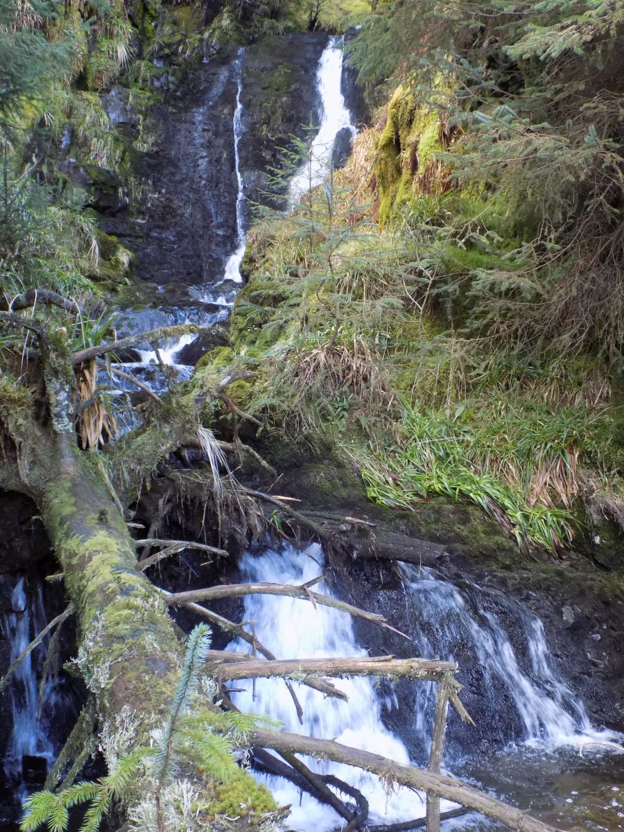 Peggie's Spout on Bin Burn