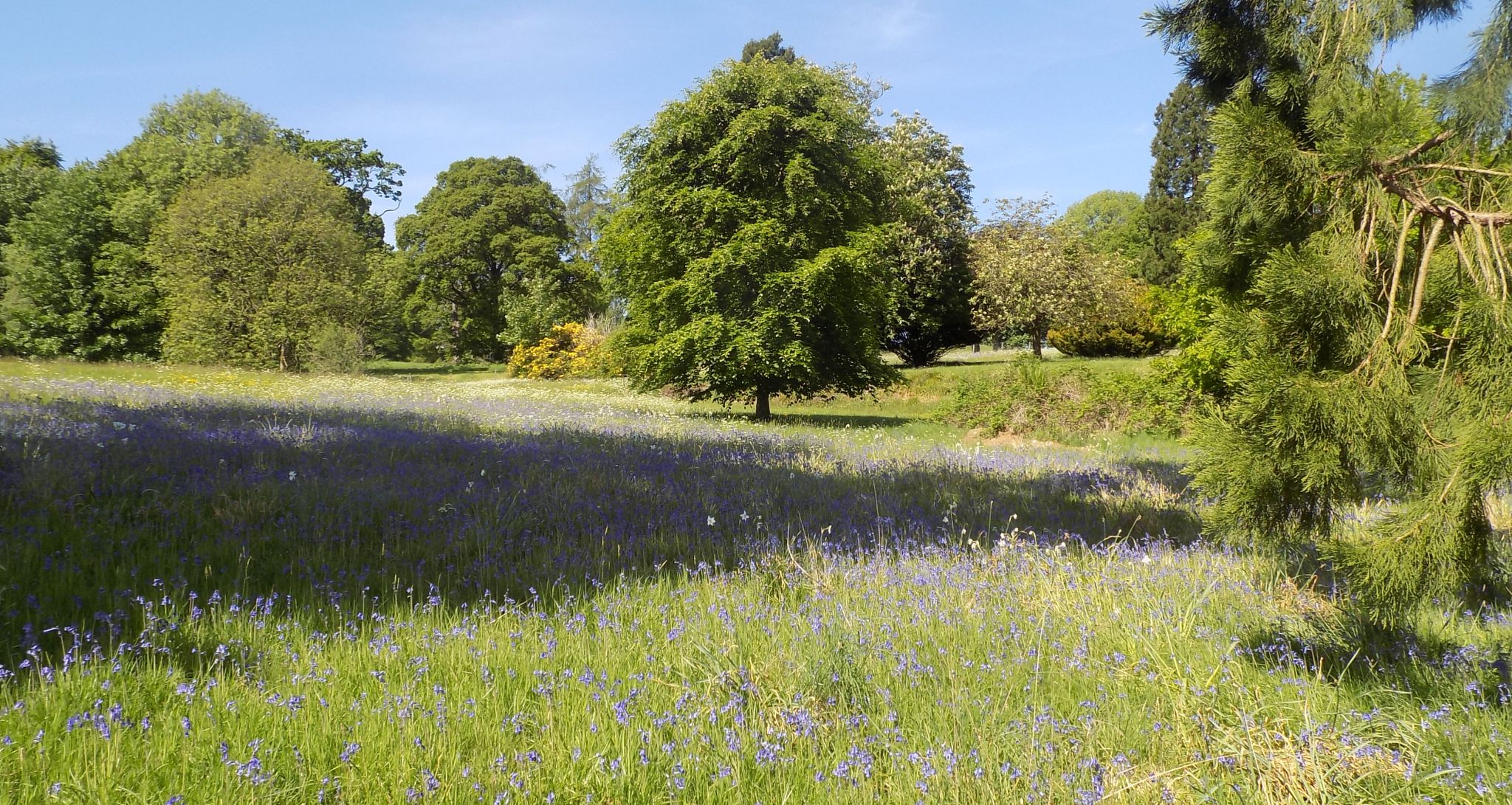 Grounds of Gartmore House