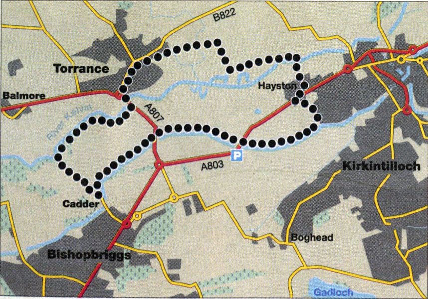 Map of the Torrance area