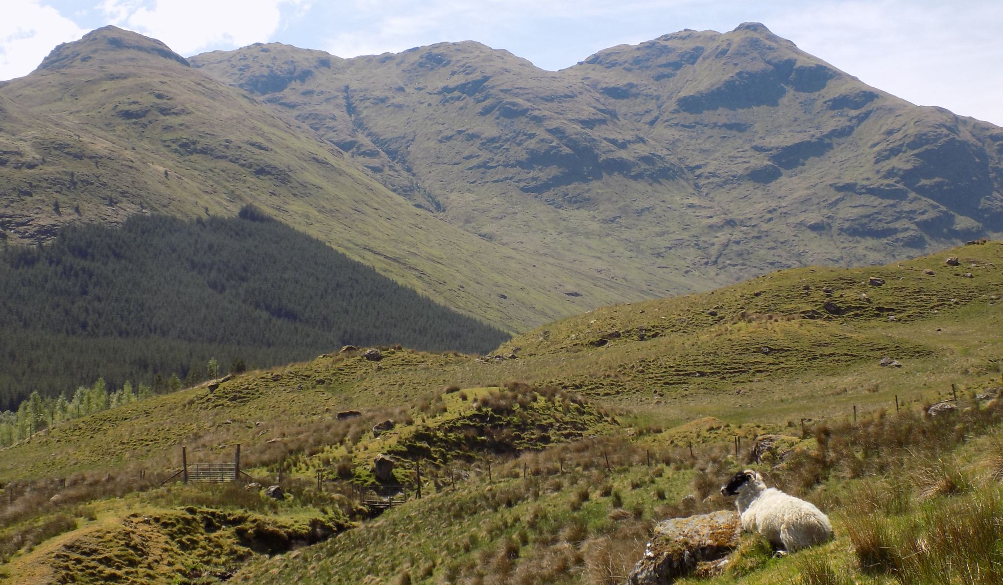 Stob a'Choin above Inverlochlarig