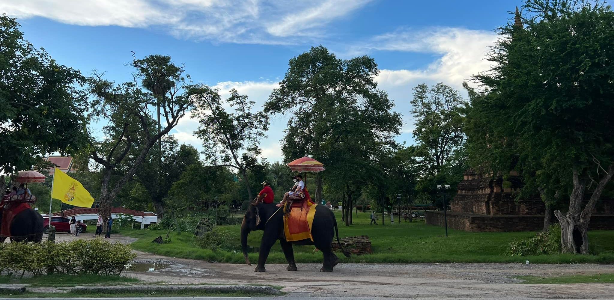 Elephants at Ayutthaya Historical Park in Northern Thailand