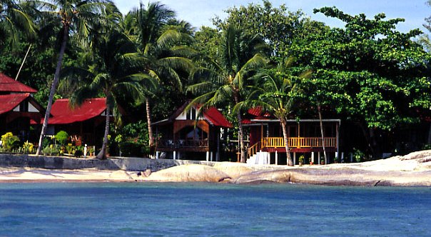 Beach bungalows at Rocky Resort on Koh Samui in Southern Thailand