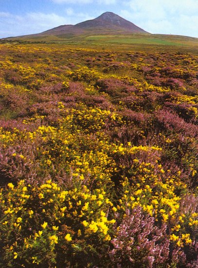 The Sugar Loaf in County Wicklow